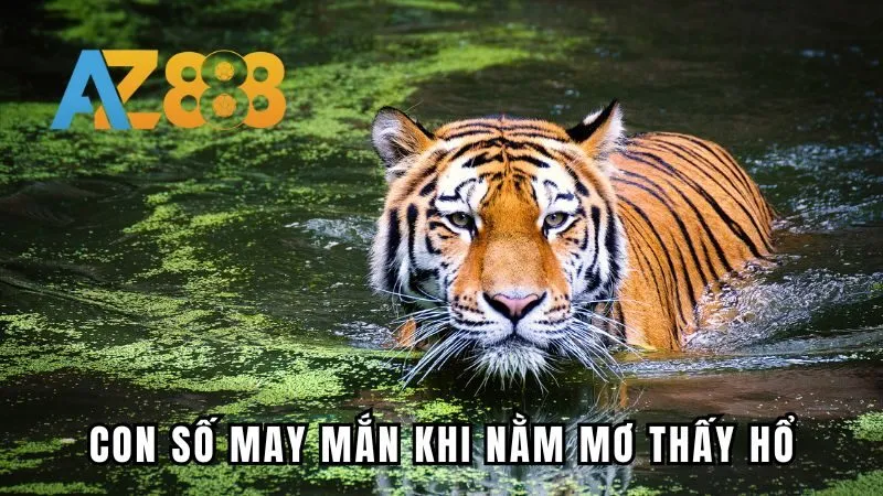 Con số may mắn khi nằm mơ thấy hổ